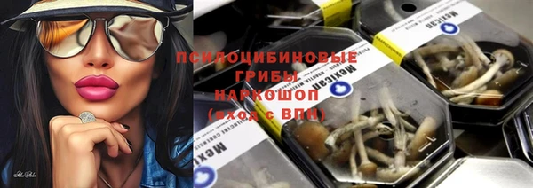 кокс Алексин