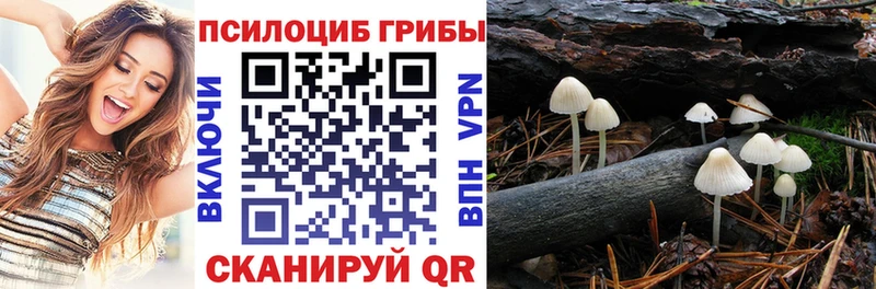 где найти наркотики  Гдов  Псилоцибиновые грибы ЛСД 