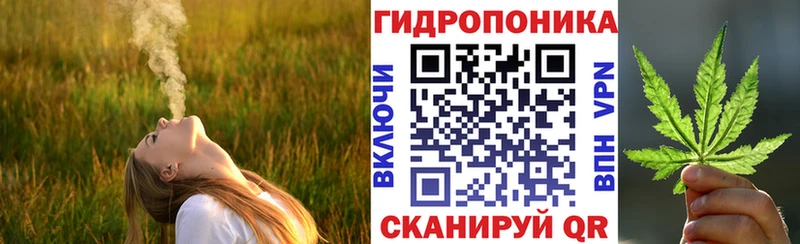 shop формула  Гдов  Бошки марихуана гибрид 